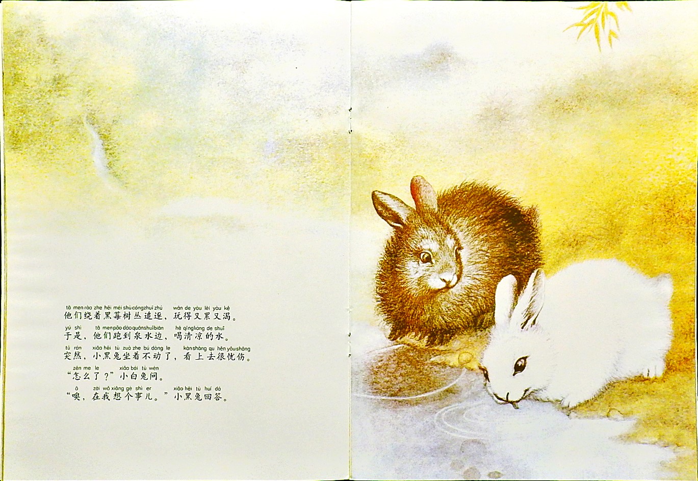 黑兔和白兔 (08),绘本,绘本故事,绘本阅读,故事书,童书,图画书,课外阅读